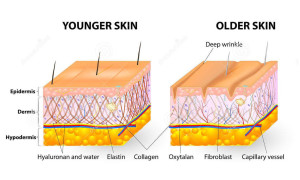 Rejuvenate Advanced Skin Clinic - Collagen & Elastin